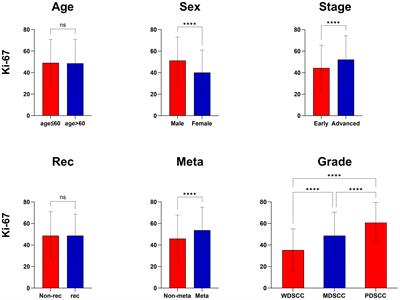 A novel nomogram model based on Ki-67 characteristic expression to predict prognosis in head and neck squamous cell carcinoma